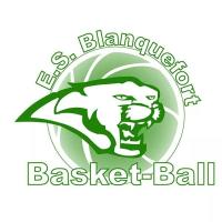 ESB basket logo