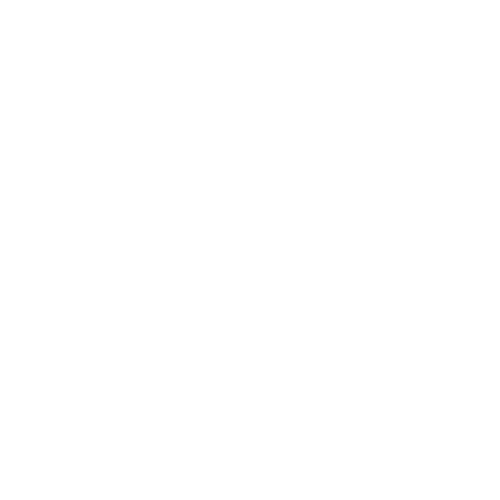 logo vierge blanc