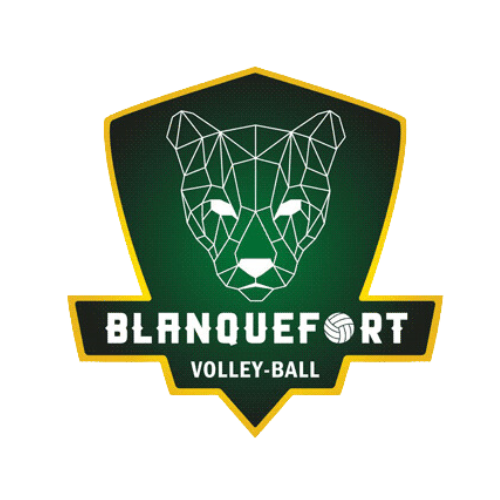 logo esb volley ball sans arrière plan