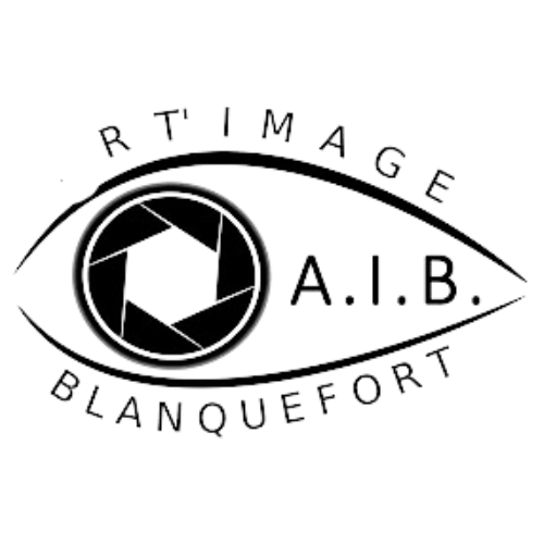Art'image logo sans arrière plan