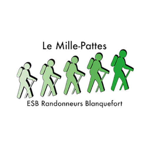 mille pattes sans arrière plan