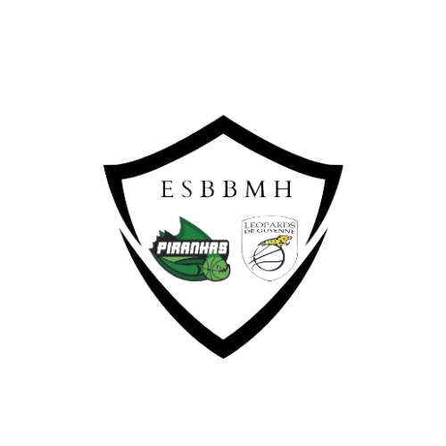 logo esb handisposrt sans arrière plan
