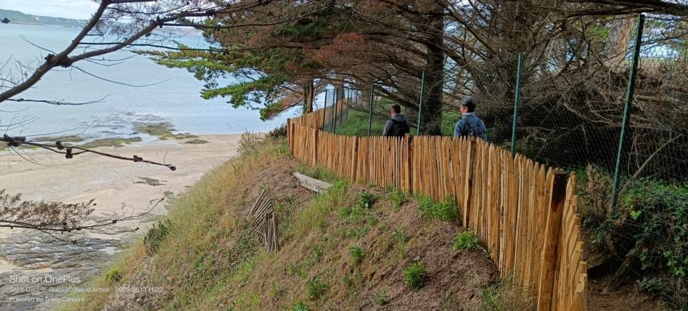 IMG20250513110233_[1600x1200][1]