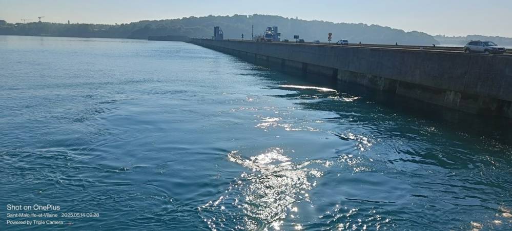 IMG20250514092844_[1600x1200][1]