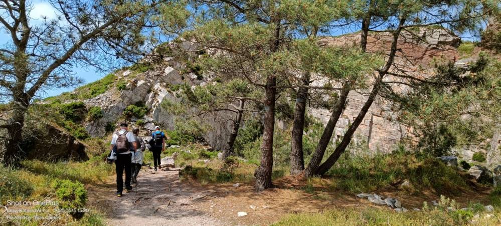 IMG20250515152023_[1600x1200][1]