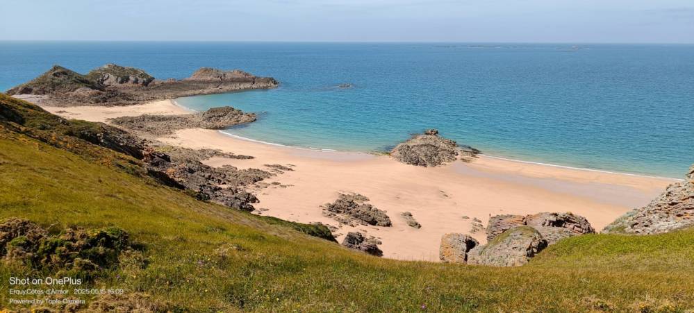 IMG20250515160924_[1600x1200][1]